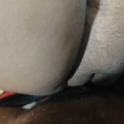 VS--RajuRaju18HDxHamster-838